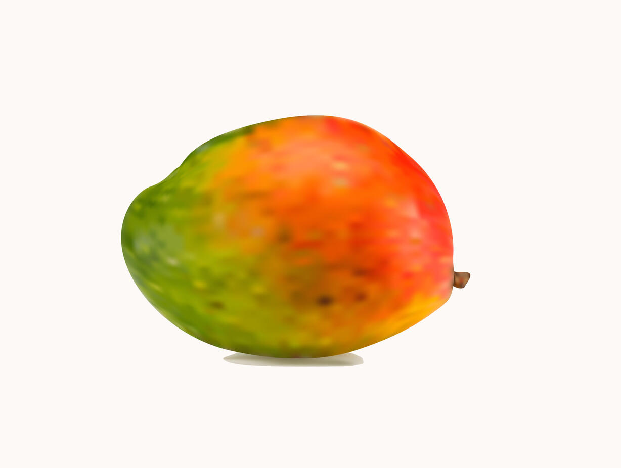 Adobe Photoshop